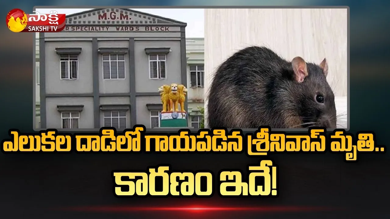 Warangal MGM Hospital Rats Attack Issue