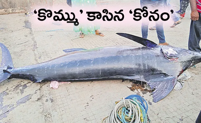 Kommu Konam Fish in Vishakha Fishing Harbor - Sakshi