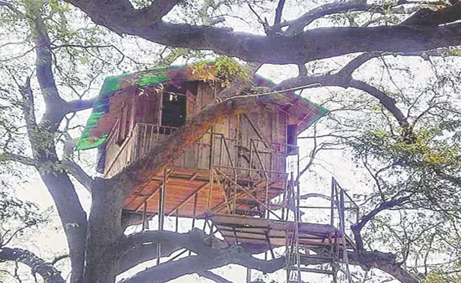 Medchal: Tree House Build On Tamarind Tree At Edulabad - Sakshi