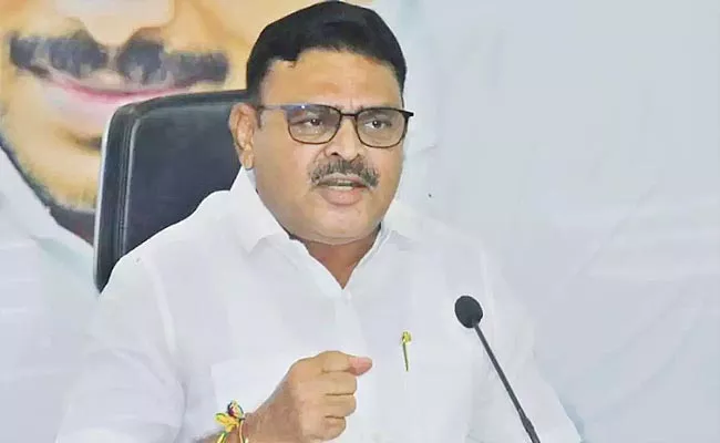 Minister Ambati Rambabu Slams On TDP Over Polavaram Project Diaphragm Wall - Sakshi