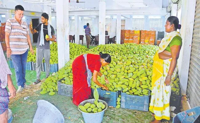 Nunna Mango Market Yard Exports Andhra Pradesh - Sakshi