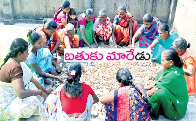 Nannari Sarbath: Nellore District Tribal Employment, Veligonda Forest - Sakshi