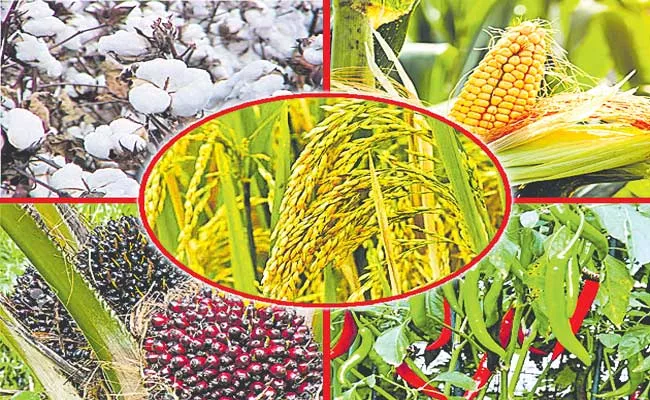 Telangana: Finance Credit Limit For Crops Is Finalized - Sakshi