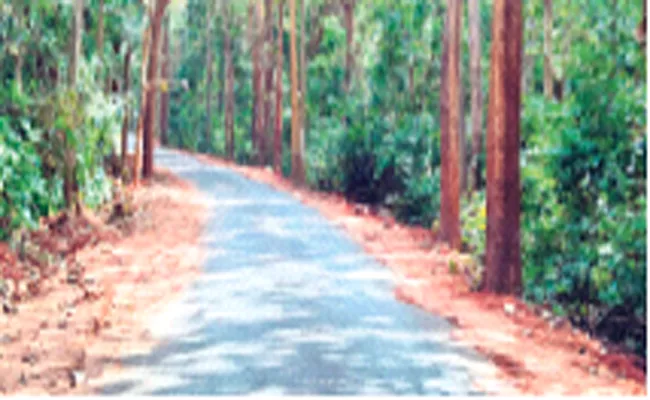 Funds Sanctioned For 8.3 km Of Paved Road On Paderu Vaddadi Route - Sakshi