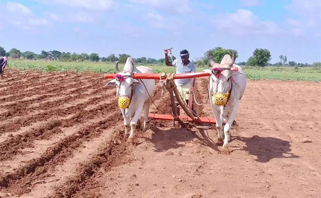 Prepare Plans For Kharif Cultivation In AP - Sakshi