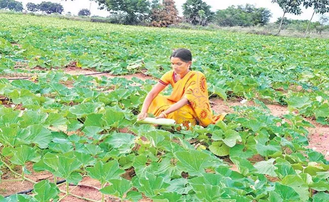 AP Govt Preference For Nature Farming - Sakshi