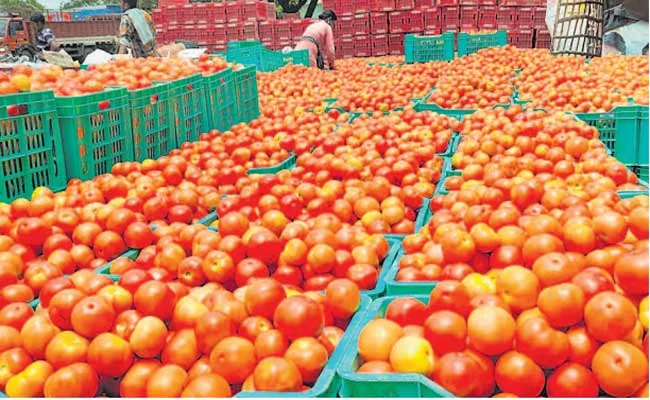 Tomato Prices Rises At Madanapalle Market Are Rs 44 Per Kg - Sakshi