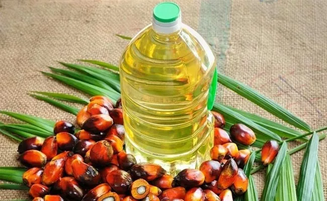 Sakshi Editorial on Indonesia Palm Oil Crisis