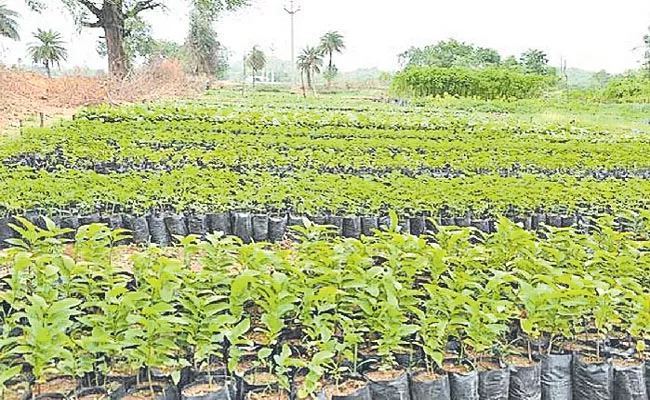 Telangana: Chief Secretary Somesh Kumar Reviews Haritha Haram Dalit Bandhu - Sakshi