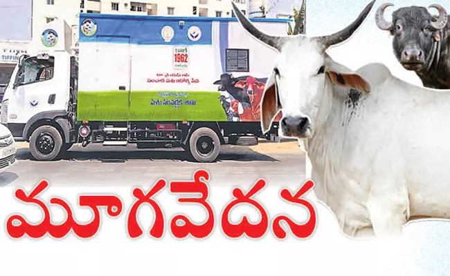 Nomadic Animal Health Service Scheme In YSR District - Sakshi