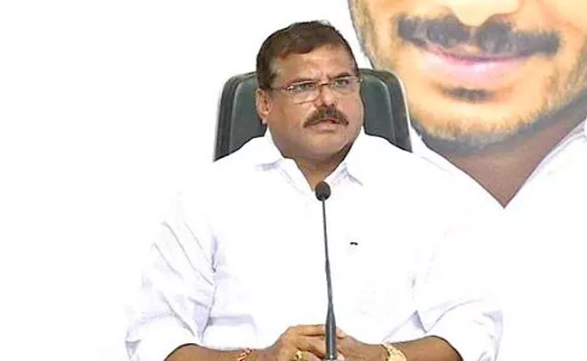 Minister Botsa Satyanarayana Comments On TDP - Sakshi