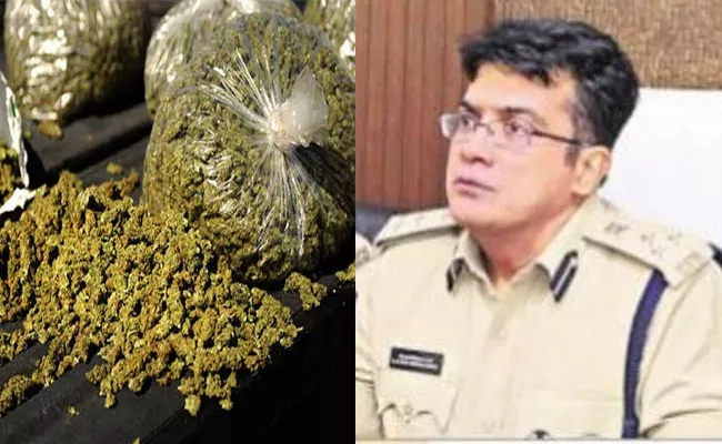 Police Plans To Curb Marijuana Supply‌ In AP - Sakshi