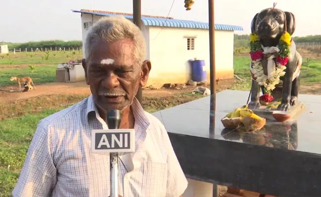 TN Man Built Dog Temple With Marble Goes Viral - Sakshi