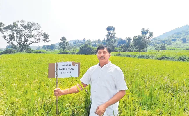 Sagubadi: Chittoor Farmer Jagadeeswar Reddy Organic Farming Successful Journey - Sakshi