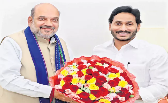 AP CM YS Jagan Meets Union Home Minister Amit Shah - Sakshi