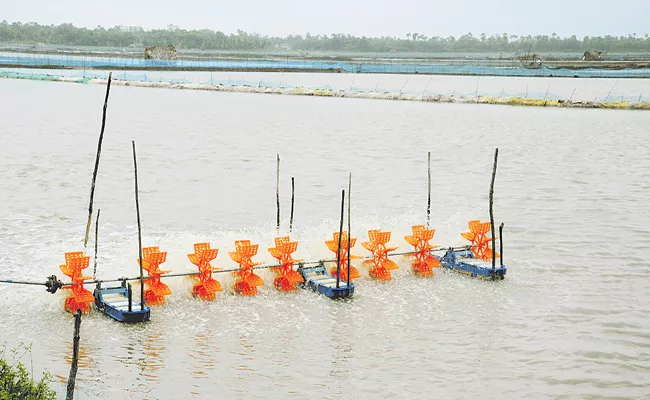 West Godavari district became a commercial fort - Sakshi