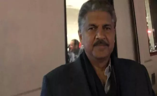 Anand Mahindra Posted Turtle Video On Twitter Talk About friendship - Sakshi