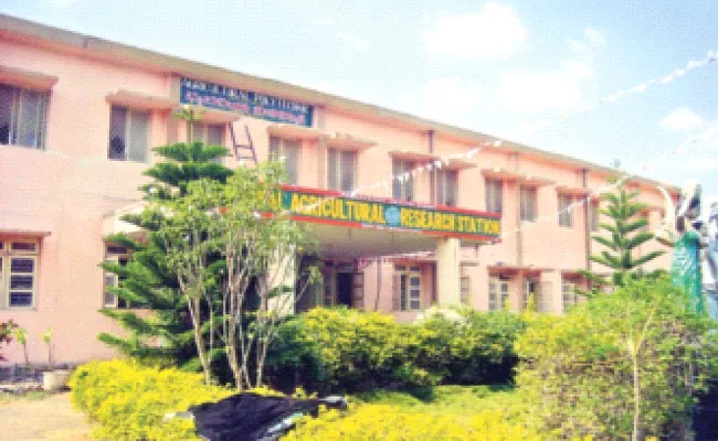 Chintapalli Regional Agricultural Research Station in Alluri Sitaramaraju District - Sakshi