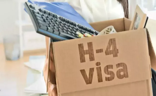 US Bill Seeks Automatic Work Rights For H-1B Visa Holders - Sakshi