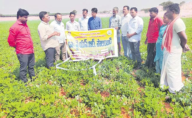 Good Agricultural Practices Certification For Farmers From Kharif Season In AP - Sakshi