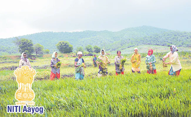 Niti Ayog On Nature Farming Andhra Pradesgh - Sakshi