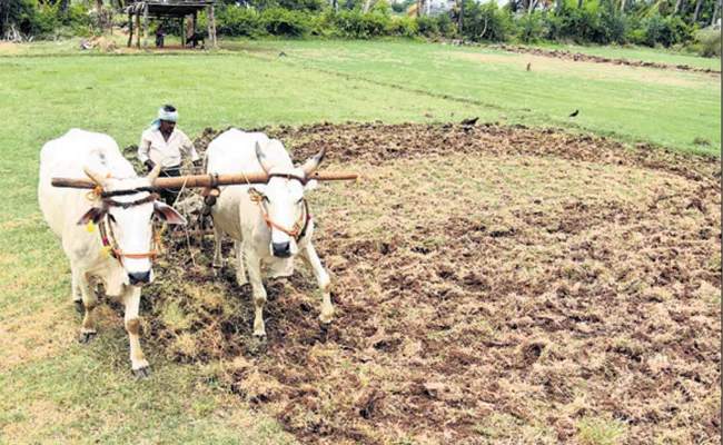 YSR Rythu Bharosa Cash Before Kharif For Formers - Sakshi