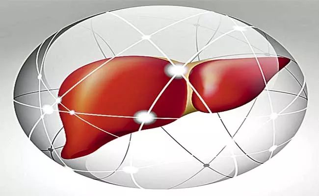 Fatty Liver And Liver Cirrhosis - Sakshi