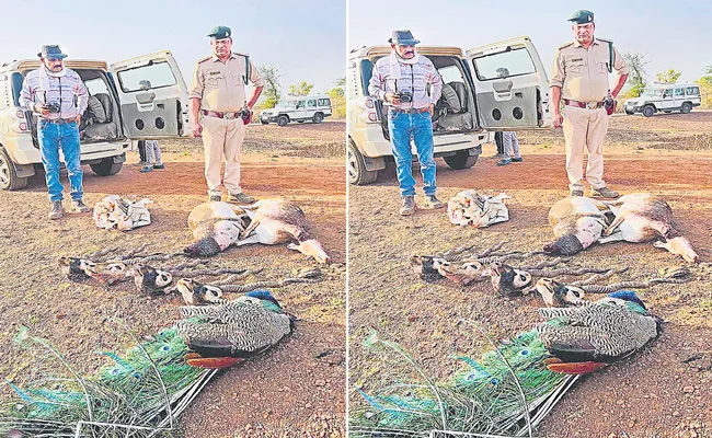 Madhya Pradesh: 3 Policemen Killed By Blackbuck Poachers CM Announces Ex- Gratia - Sakshi