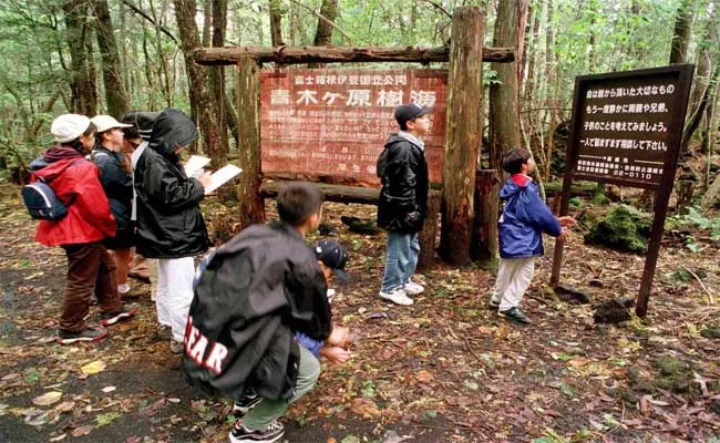 Aokigahara Forest Also Called As Suicide Forest - Sakshi