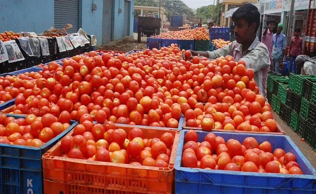 Tomato price touches Rs 100 per kg IN KERALA - Sakshi