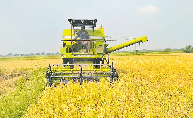 The Second Rice Crop Dream Come True For The Farmer At Nandyala - Sakshi