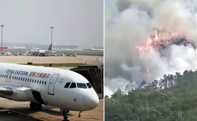 Chinese Flight Crash Black Box Data Suggests Seems Pilots Deliberately Crashed - Sakshi