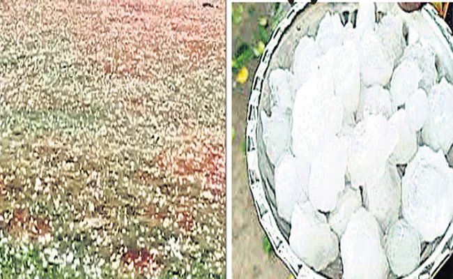 Heavy Hailstorm Fall In Paderu - Sakshi