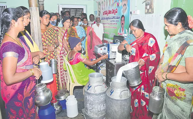 Huge Profits For Dairy farmers in Andhra Pradesh - Sakshi