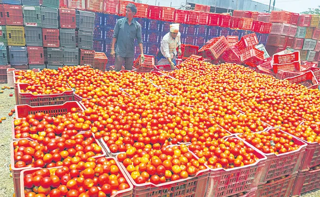 Andhra Pradesh Govt Focus On Tomato Prices - Sakshi