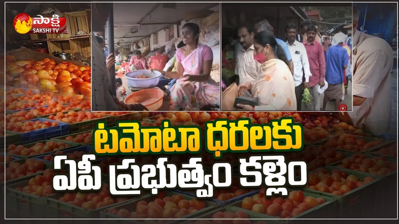 AP Government Steps in to Keep Tomato Price Under Check