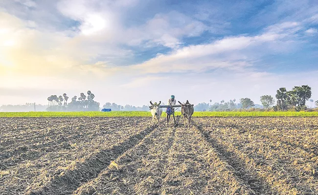 Cultivation target is 95,23,217 acres in Kharif Andhra Pradesh - Sakshi