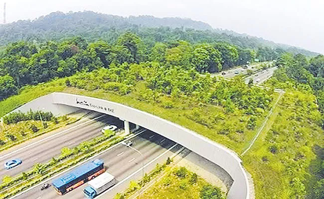 First Eco Bridge For The Movement Of Tigers In Telangana - Sakshi