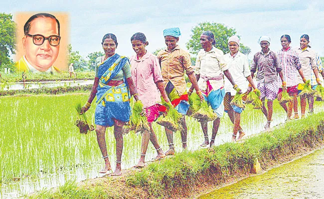 Economic and Social Equality Possible Only with Land Distribution: Opinion - Sakshi