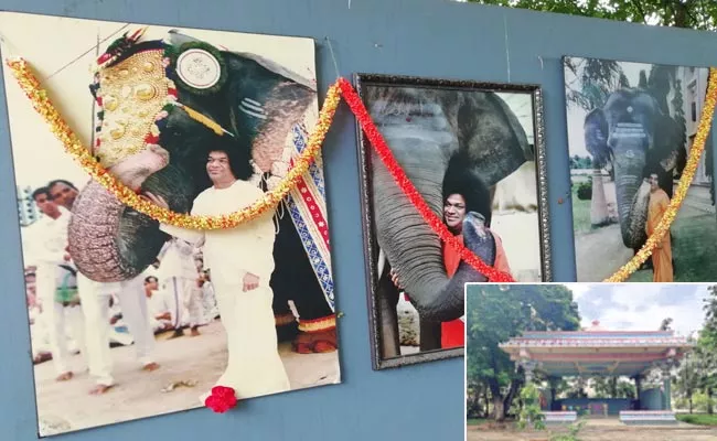 Sri Sathya Sai Baba Pet Elephant Sai Geetha Temple In Puttaparthi - Sakshi