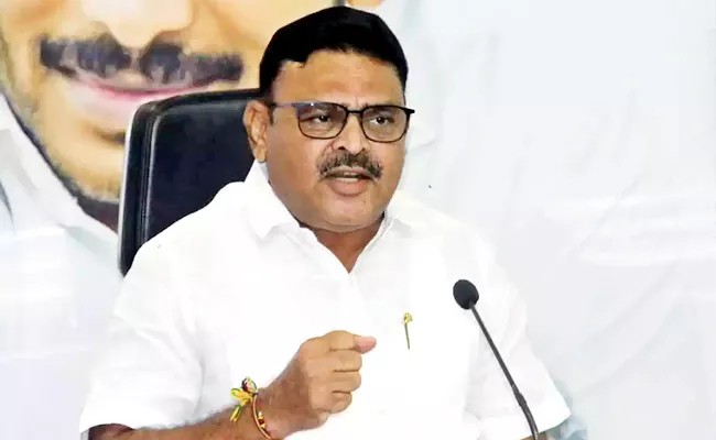 Minister Ambati Rambabu Comments On MLC Ananta Babu Arrest - Sakshi