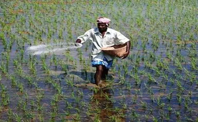 Telangana: 4. 20 Lakh Tonnes Of Urea For Districts - Sakshi