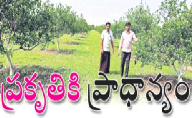 Government Measures to Expand Nature Farming in YSR Kadapa - Sakshi