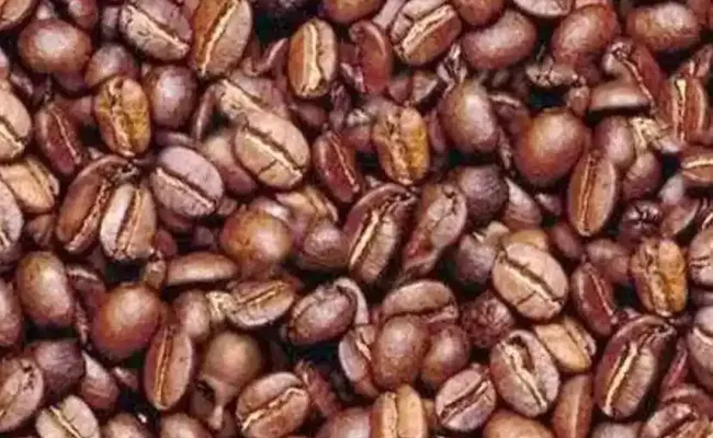 Viral Optical Illusion: Can You Find a Man’s Face Hidden in The Coffee Beans - Sakshi