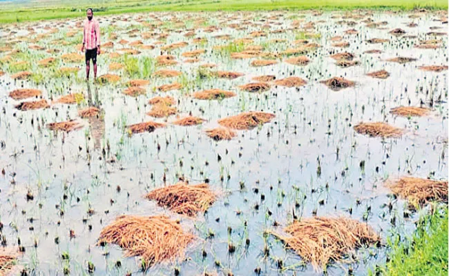 Weather Forecast: Heavy Rainfall Record In Anakapalle - Sakshi