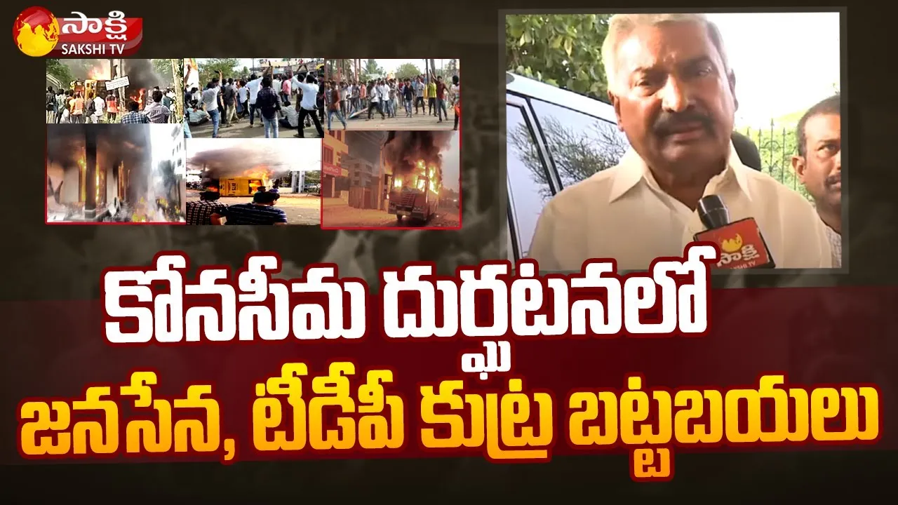 Minister Peddireddy Ramachandra Reddy Comments On Konaseema Incident