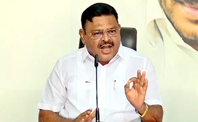 Ambati Rambabu Comments On TDP Mahanadu - Sakshi