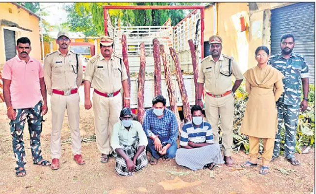 Crime News: Smuggling Red Sandalwood Over Bananas‌ In Rajampet - Sakshi