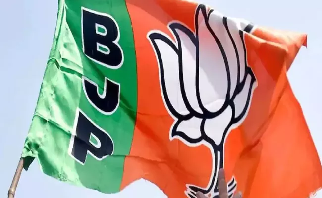 Rajya Sabha Elections 2022: BJP Releases List 16 Candidates - Sakshi