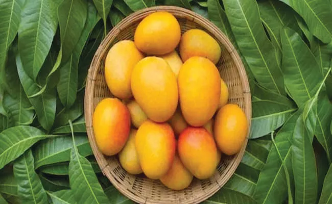 Summer Tips: Mango Top 15 Health Benefits In Telugu - Sakshi